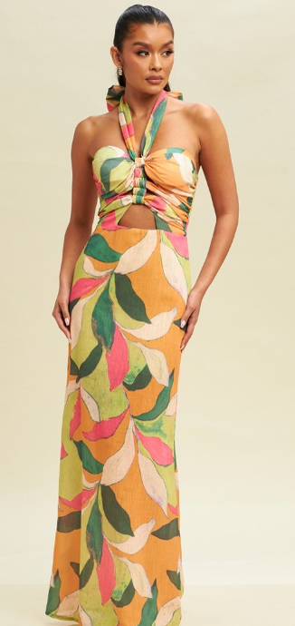 Adriane Halter Maxi Dress